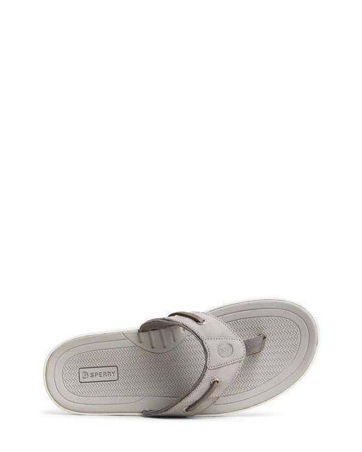 Sperry Top-Sider Gray Baitfish Flip Flop for men