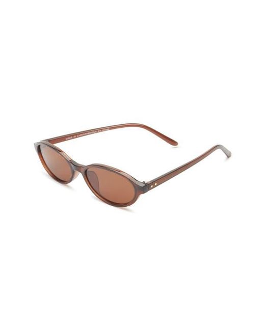 BP. Brown Oval Sunglasses