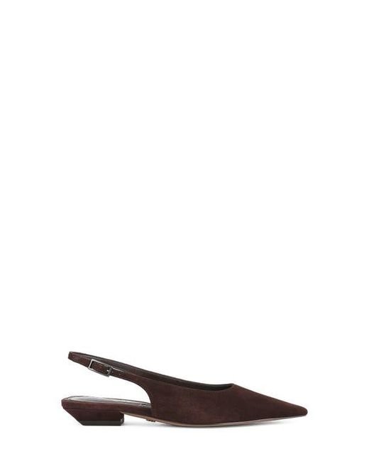 Sam Edelman Brown Netty Slingback Pointed Toe Flat