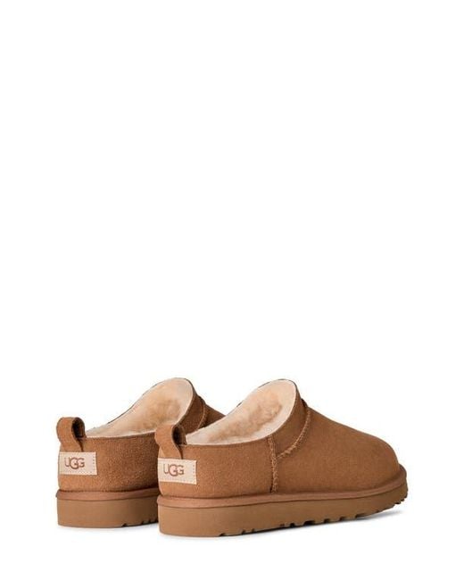 Ugg Brown Classic Genuine Shearling Lined Slipper for men