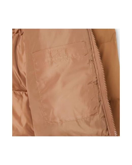 Lacoste Brown Water Repellent Down Puffer Jacket for men