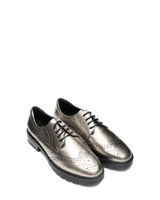 Ara Metallic Clementine Wingtip Derby