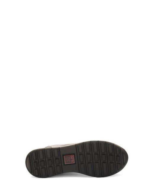 Ara Black Ovation Sneaker