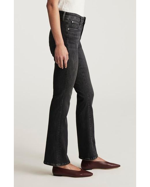 Mavi Black Molly Mid Rise Bootcut Jeans