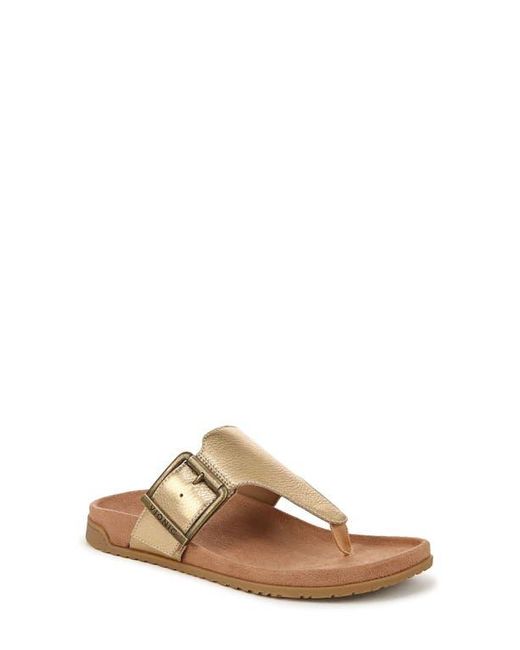 Vionic Brown Emma Flip Flop