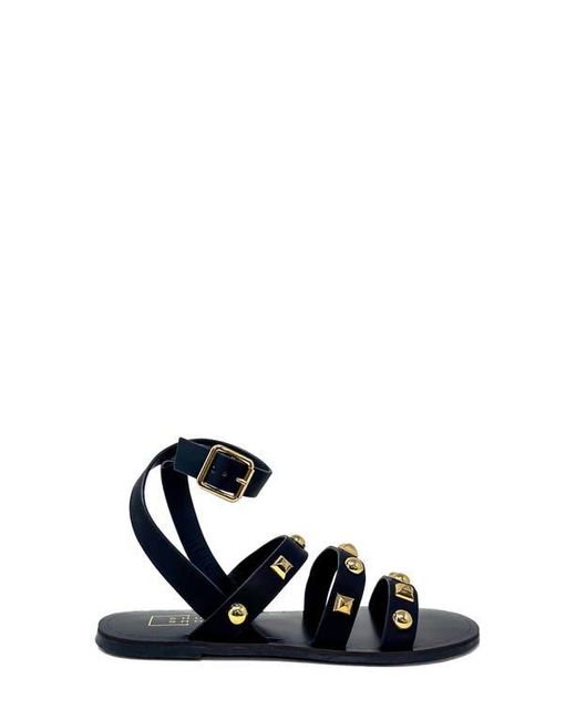 Shu Shop Black Daphne Studded Gladiator Sandal
