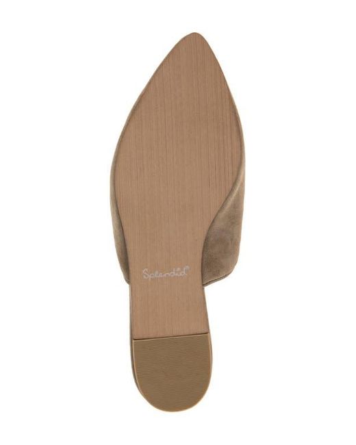 Splendid Brown Liza Pointed Toe Mule