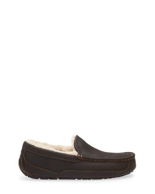 Ugg Multicolor Ascot Slipper for men