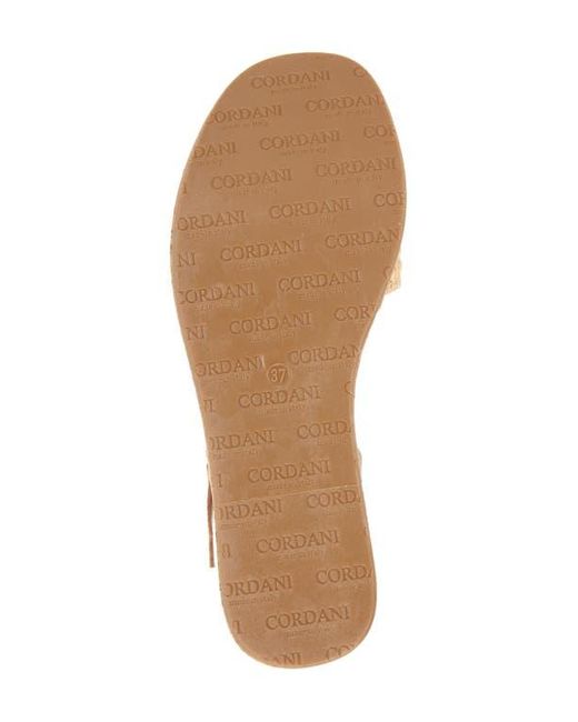 Cordani Multicolor Jessica Platform Wedge Sandal