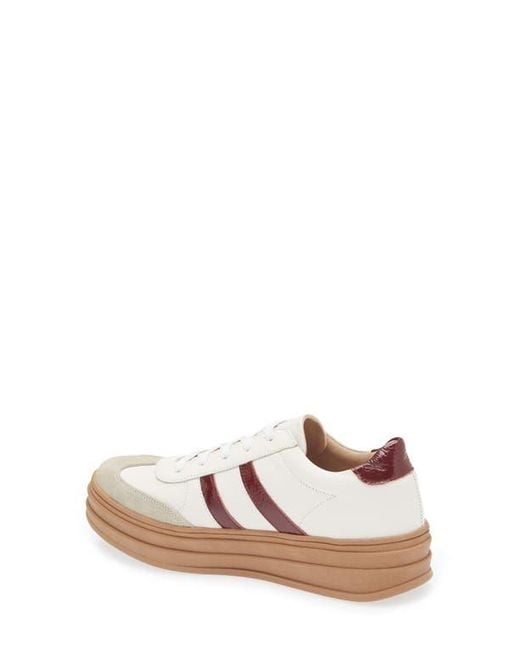Chocolat Blu White Valox Sneaker