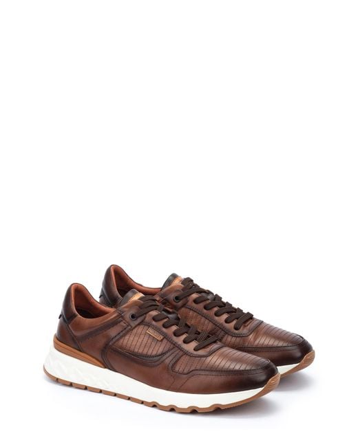 Pikolinos Brown Aranda Sneaker for men