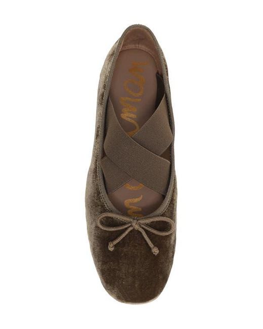 Sam Edelman Brown Arya Ballet Flat