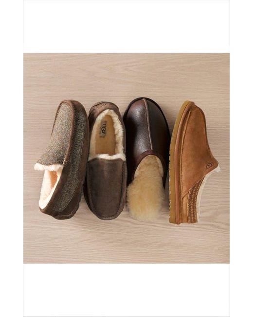 Ugg Brown Neuman Slipper for men
