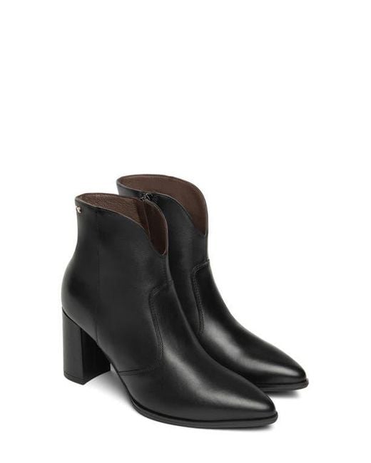 Nero Giardini Black V-Cut Bootie