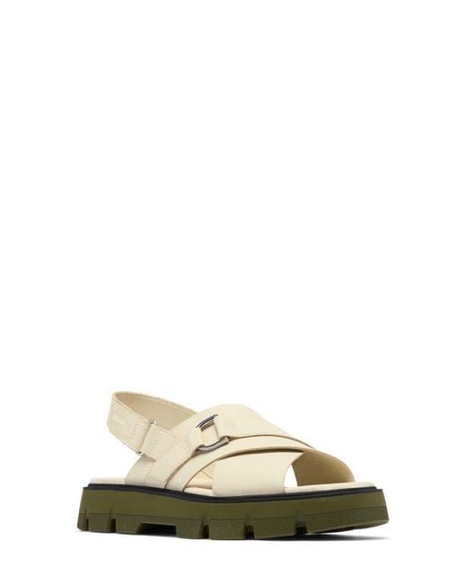 Sorel Natural Rein Cb Crisscross Sandal