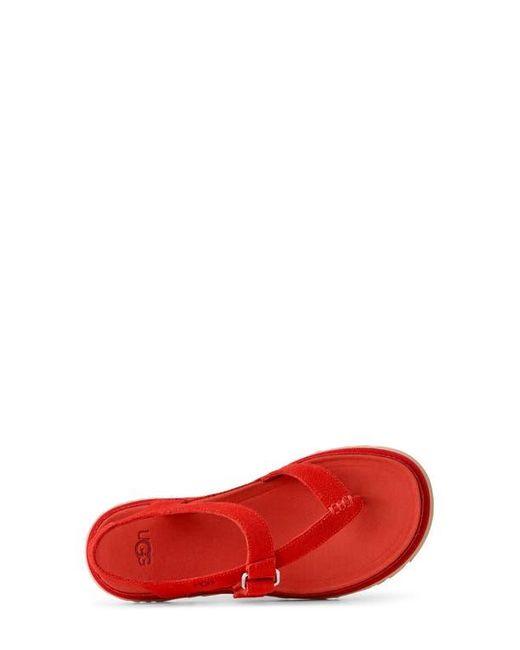 Ugg Red Goldengaze Toe Post Suede Sandal