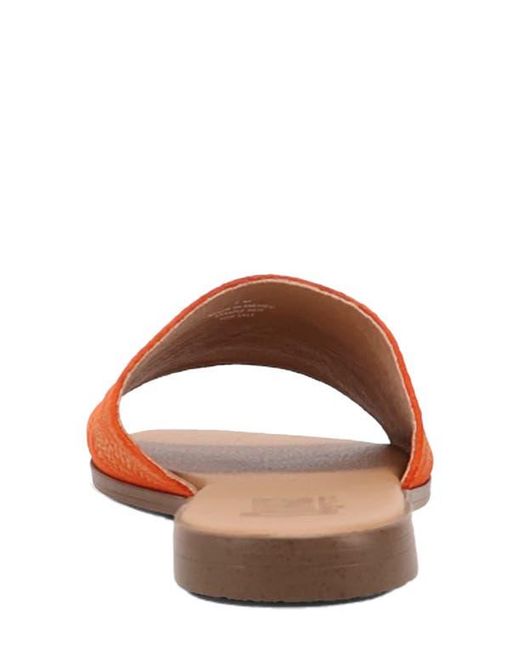 Dingo Orange Lasso Sandal