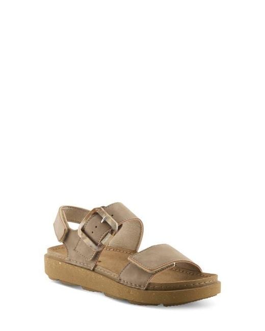 Flexus by Spring Step Brown Bravies Ankle Strap Sandal