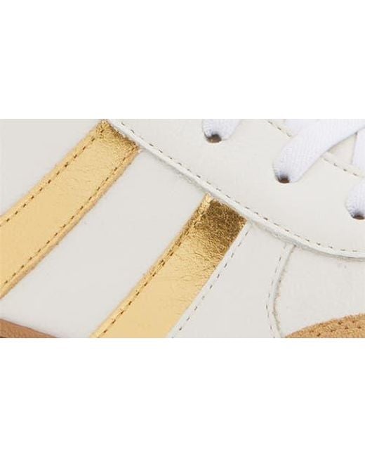 Chocolat Blu White Valox Sneaker