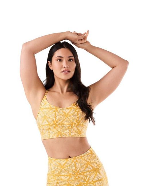 Tavi Orange Boost Bra