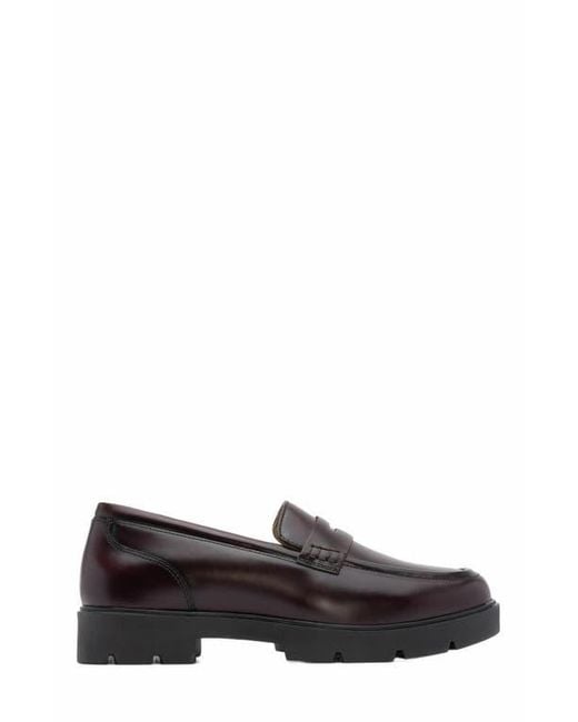 ABEO Brown Boulevard Loafer