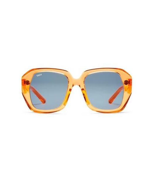VADA Brown Cicada Sunglasses
