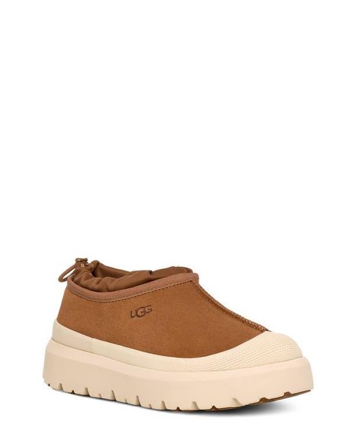 Ugg Brown ugg(r) Tasman Waterproof Hybrid Slip-on Shoe for men