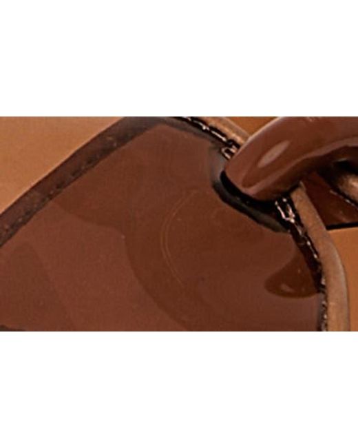 Rebecca Minkoff Brown Paris Jelly Pointed Toe Slide Sandal
