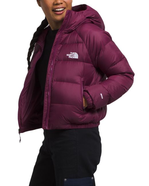 The North Face Hydrenalite Hooded Down Jacket | Lyst