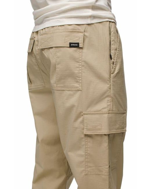Prana Natural Palisades Organic Cotton Blend Cargo Pants for men