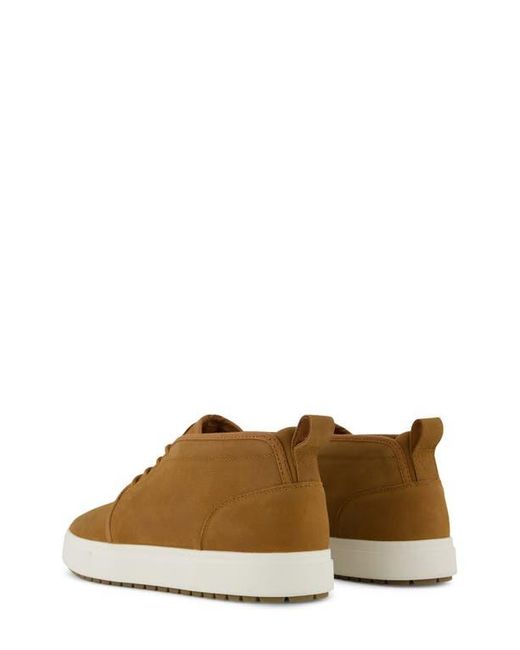 TOMS Brown Carlo Mid Terrain 2.0 Sneaker for men