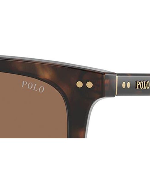 Polo Ralph Lauren Brown 55Mm Rectangular Sunglasses for men