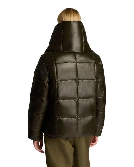 Alpenhaus Brown Winekka 2-In-1 Reversible Puffer With Oversized Removable Scarf