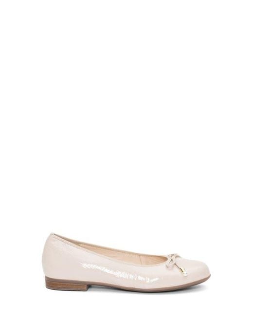 Ara Natural Scout Flat