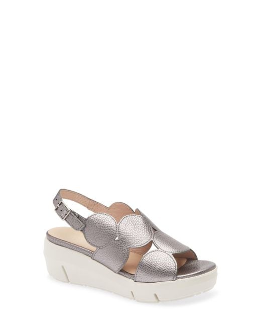 Wonders Multicolor Platform Sandal
