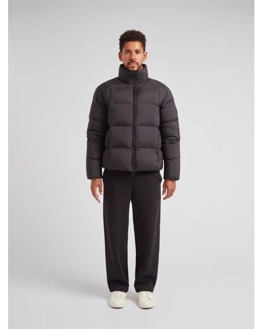 Jacket Gray Cloud Long Sleeve Puffer Racer Jacket for men