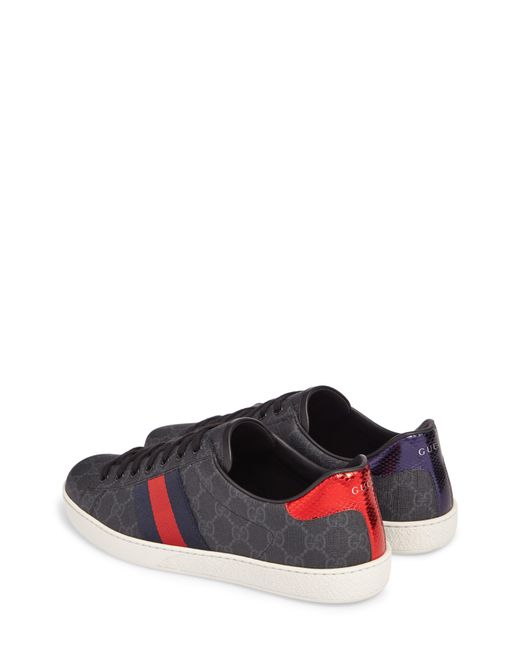 gucci new ace webbed low top sneaker