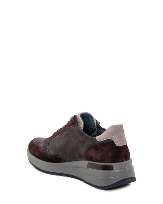 Ara Brown Gardenia Sneaker