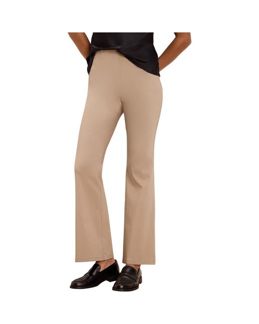 NIC+ZOE Brown Berkeley Bootcut Stretch Pants