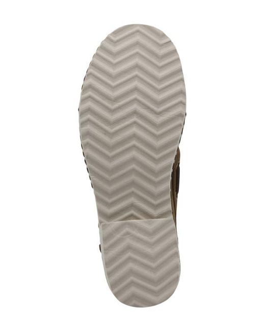 Charles David Brown Poppy Kiltie Fringe Loafer