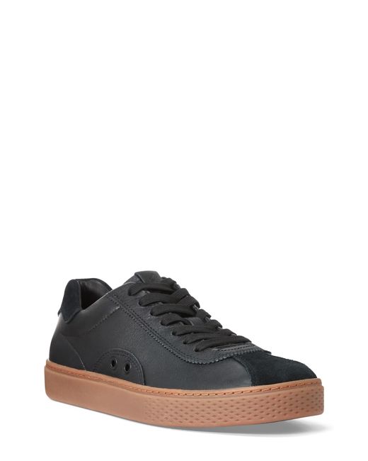polo court 100 lux