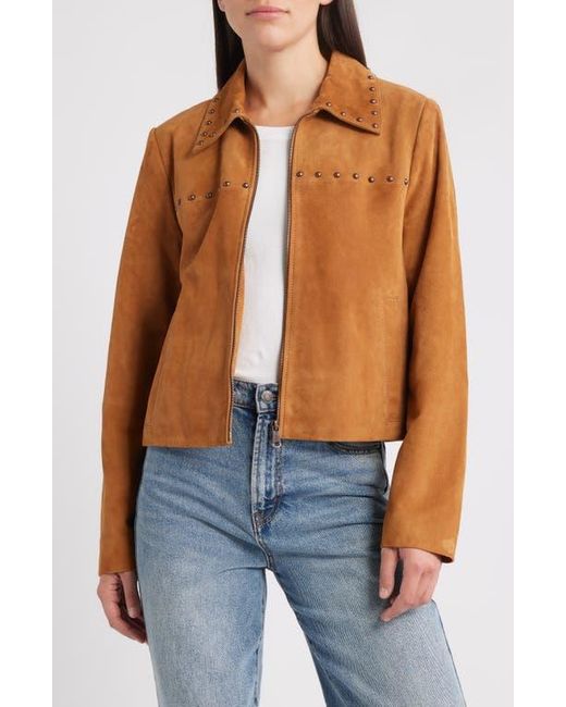 Bernardo Blue Stud Detail Suede Jacket