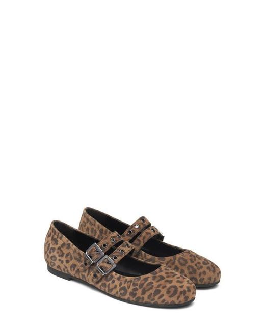 Nero Giardini Brown Double Strap Ballet Flat