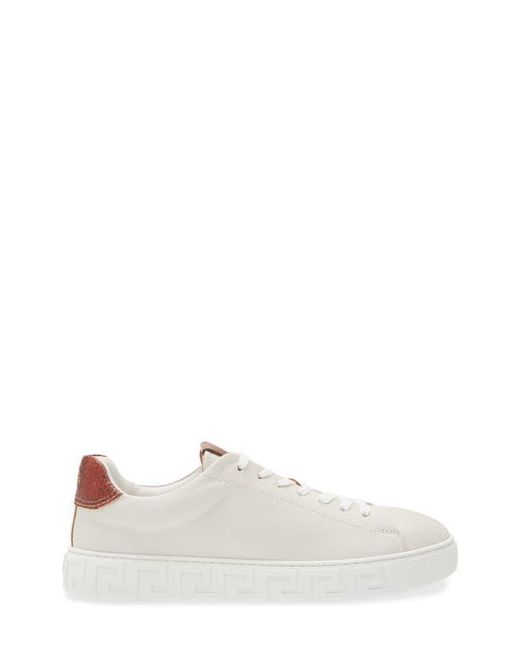 Versace White Greca Sneaker for men