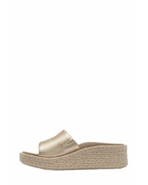 ABEO Multicolor Solstice Slide