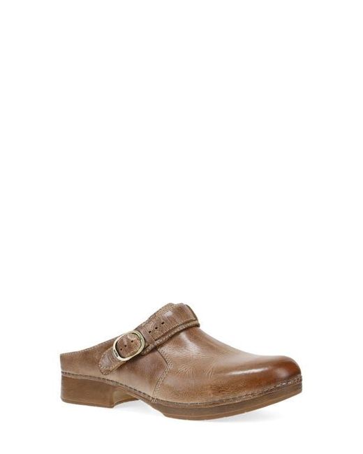 Dansko Brown Millie Mule