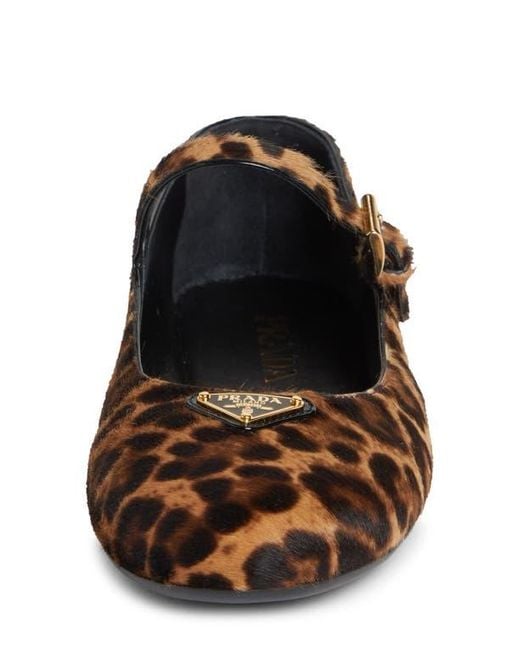 Prada Genuine Calf Hair Mary Jane Flat in White | Lyst