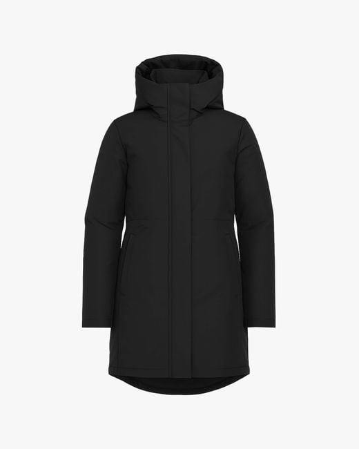 Quartz Co. Black Genia