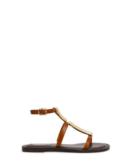 Steve Madden Brown Alma Gladiator Sandal