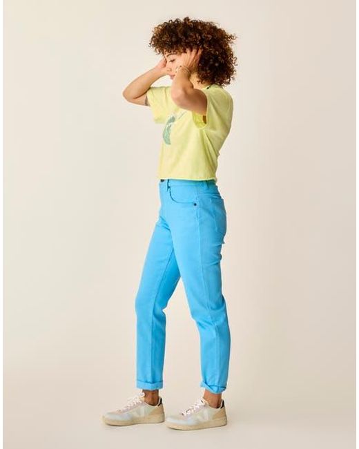 Carve Designs Blue Carson Jean